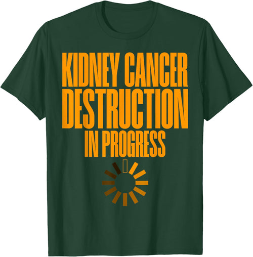 Kidney Cancer Destruction In Progress Cancer Survivor