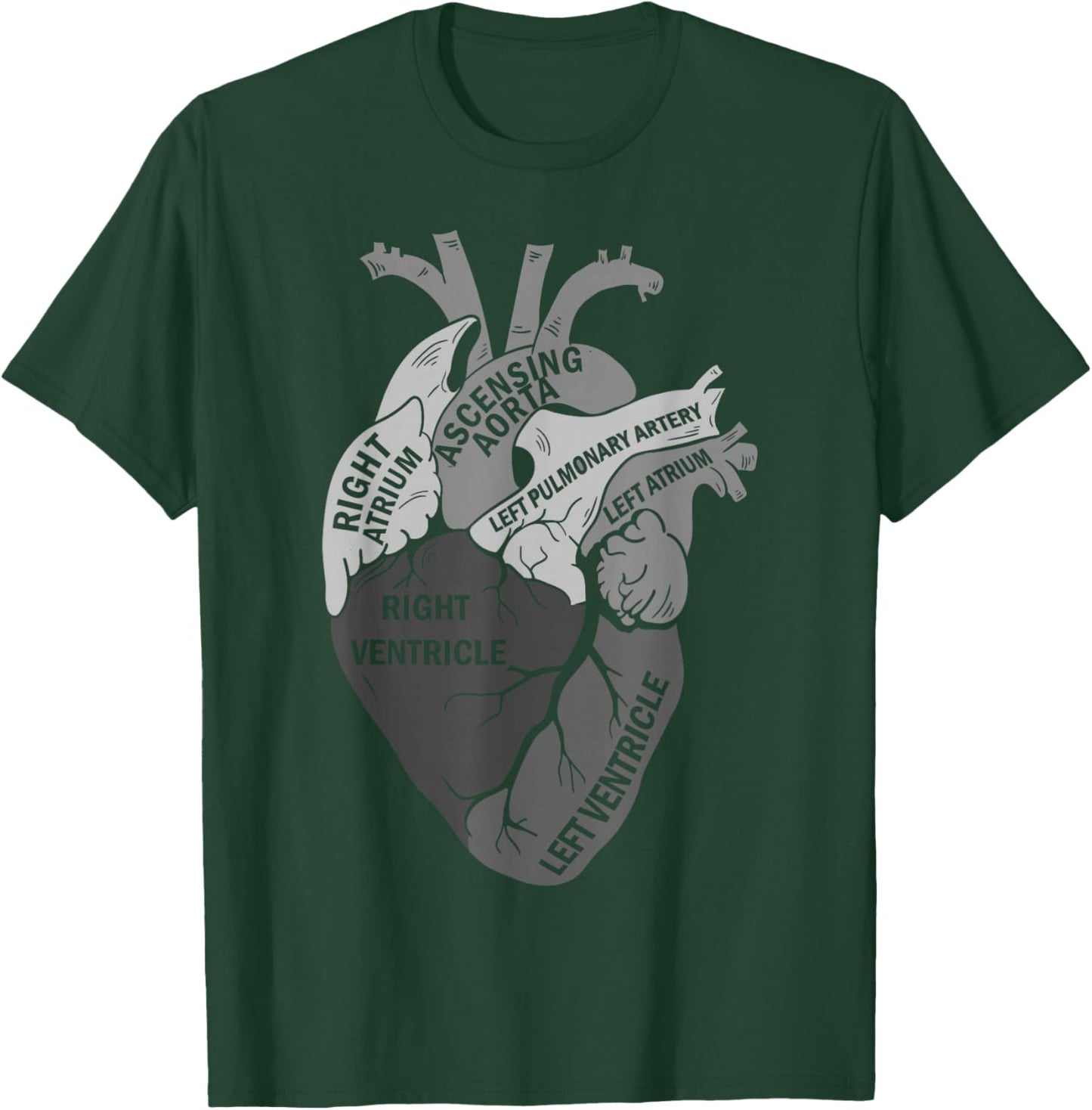 Parts Of Heart Cardiology Men Women Anatomical Cardiac T-Shirt - T-Shirt | Forest