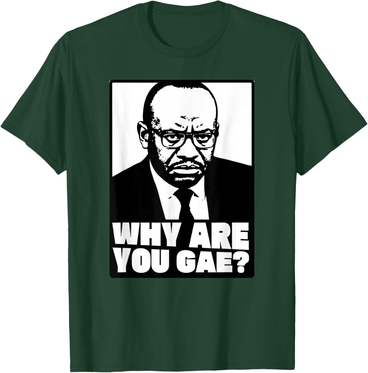 Why are You Gay - Meme T-Shirt - T-Shirt | Forest