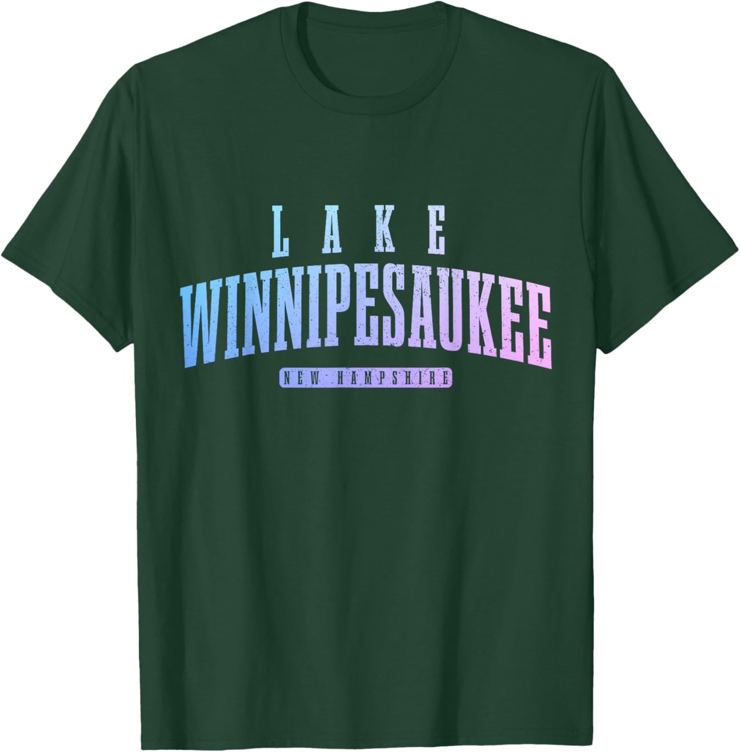 Lake Winnipesaukee New Hampshire Vintage T-Shirt - T-Shirt | Forest