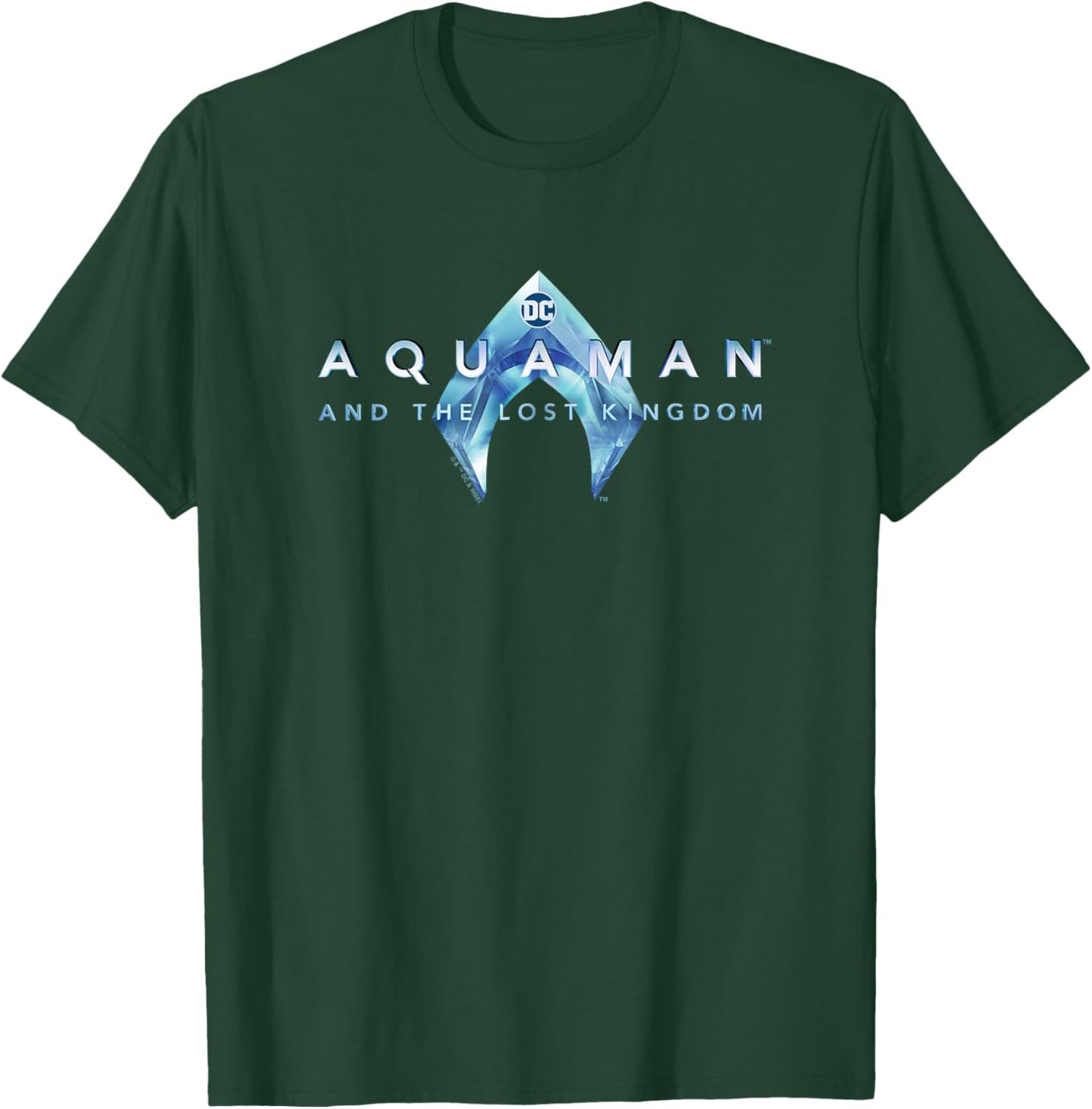 Aquaman Kids' Black with Aquaman and the Lost Kingdom Logo T-Shirt - T-Shirt | Forest