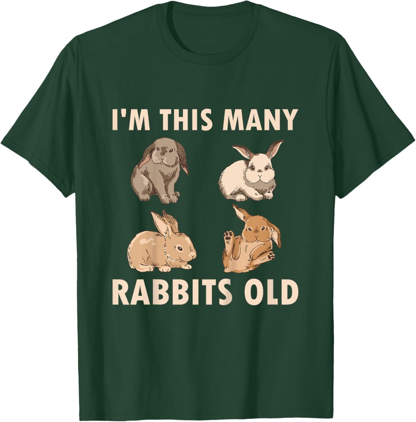 4 Year Old Bunny Rabbits Old 4th Birthday T-Shirt - T-Shirt | Forest