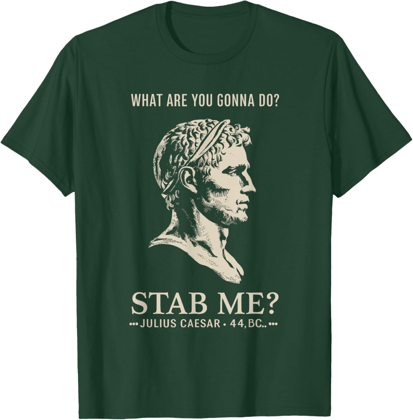Julius Caesar Stab Me Historical Humor, Roman Empire Meme T-Shirt - T-Shirt | Forest