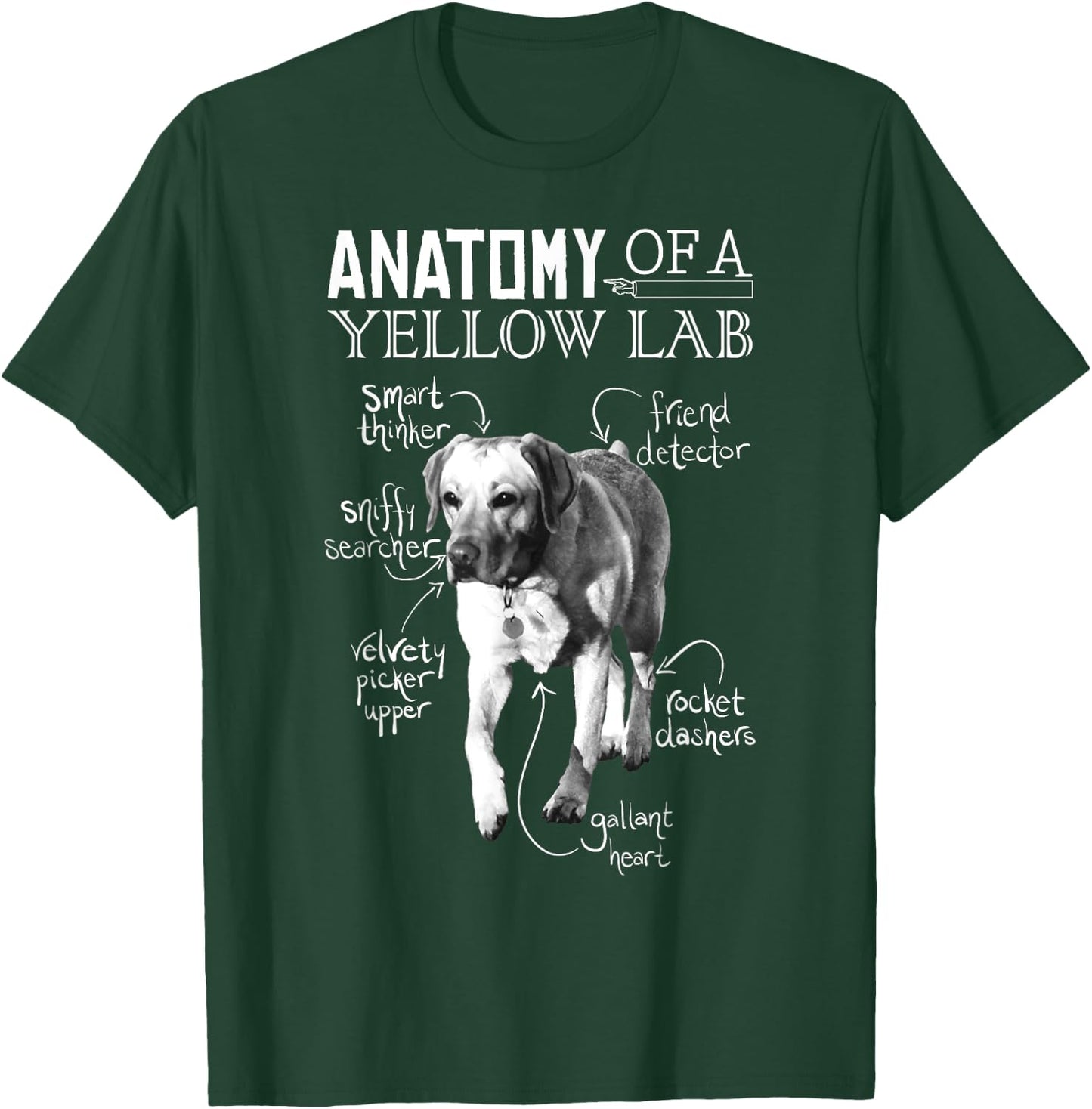 Anatomy of a Yellow Lab Chalkboard, Labrador Retriever Lover T-Shirt - T-Shirt | Forest
