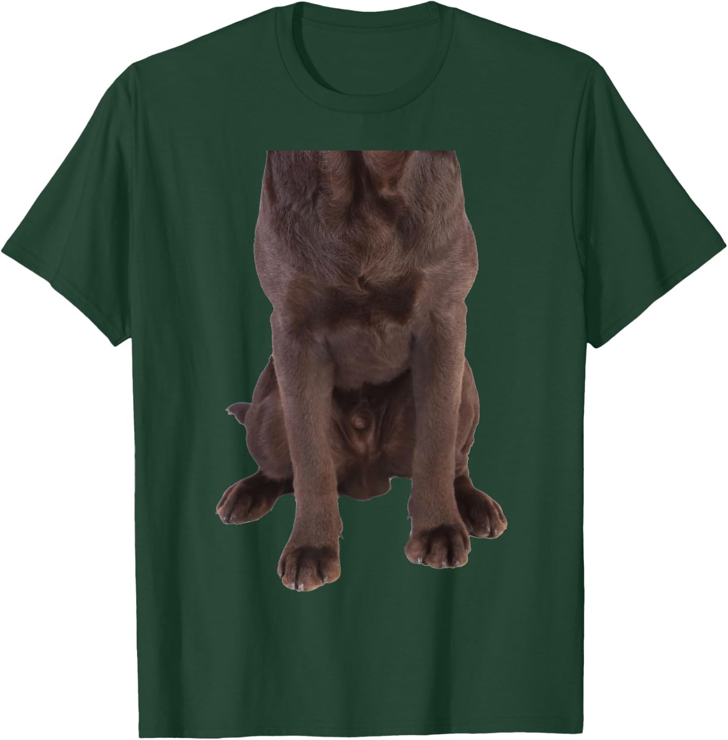 Brown Labrador Retriever Chocolate Lab Funny Dog Costume Women Girls Kids T-Shirt - T-Shirt | Forest