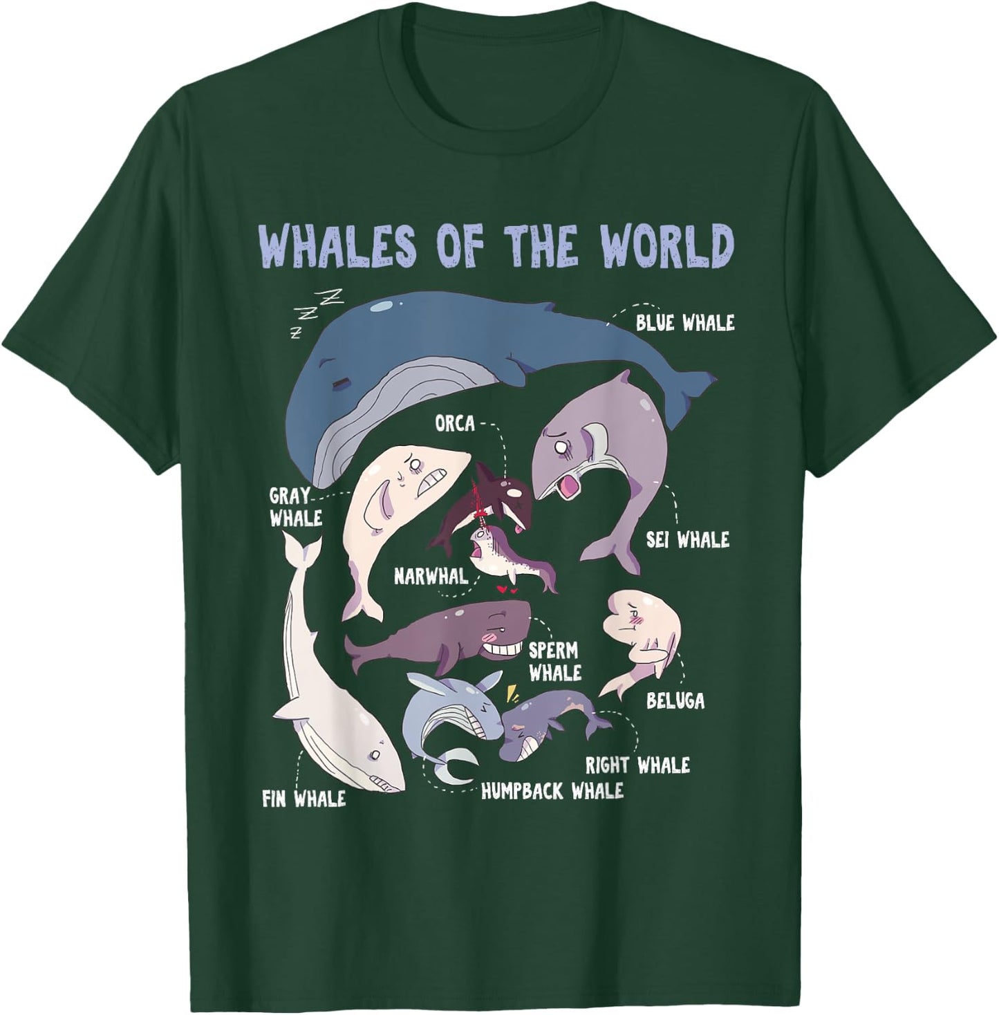 Whales Of The World Educational Ocean Mammals Guide T-Shirt - T-Shirt | Forest