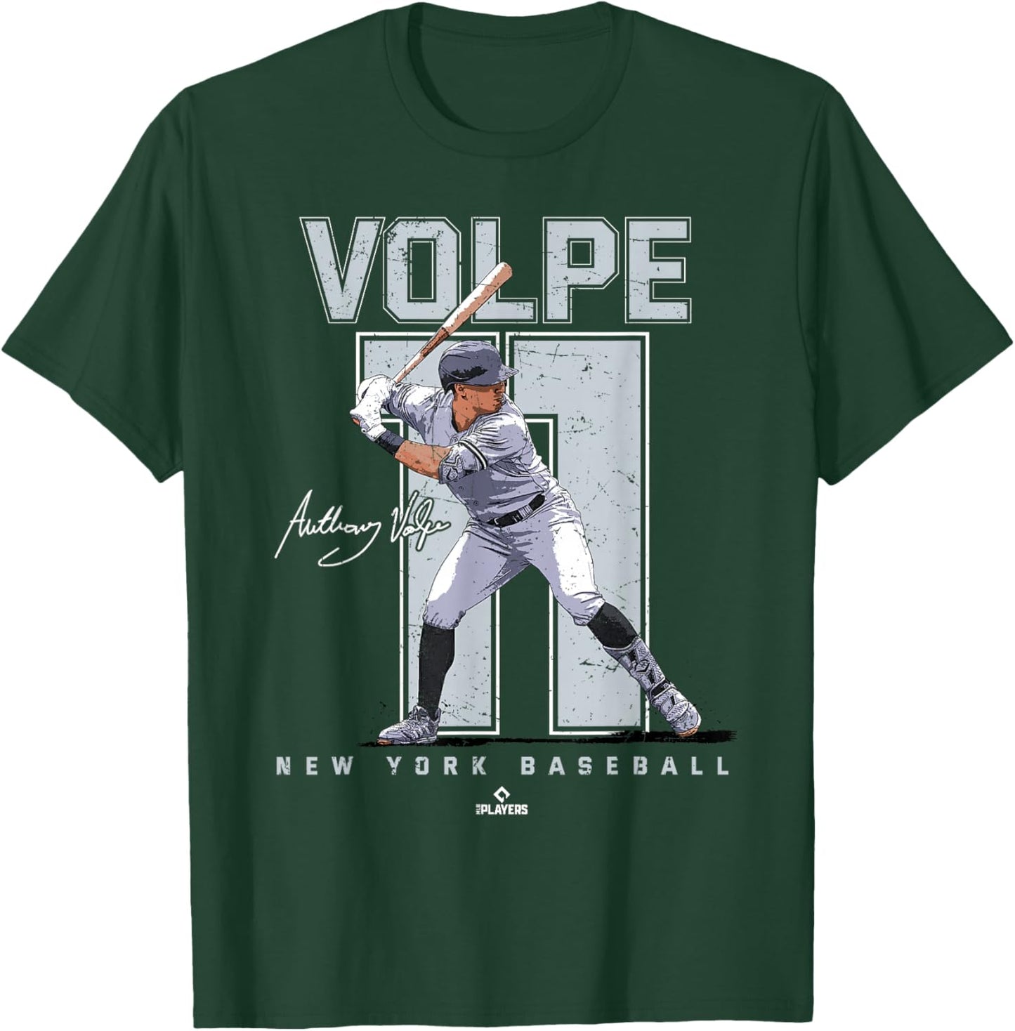 BallPark MVP Adult Black Baseball with Anthony Volpe Portrait, Small T-Shirt - T-Shirt | Forest