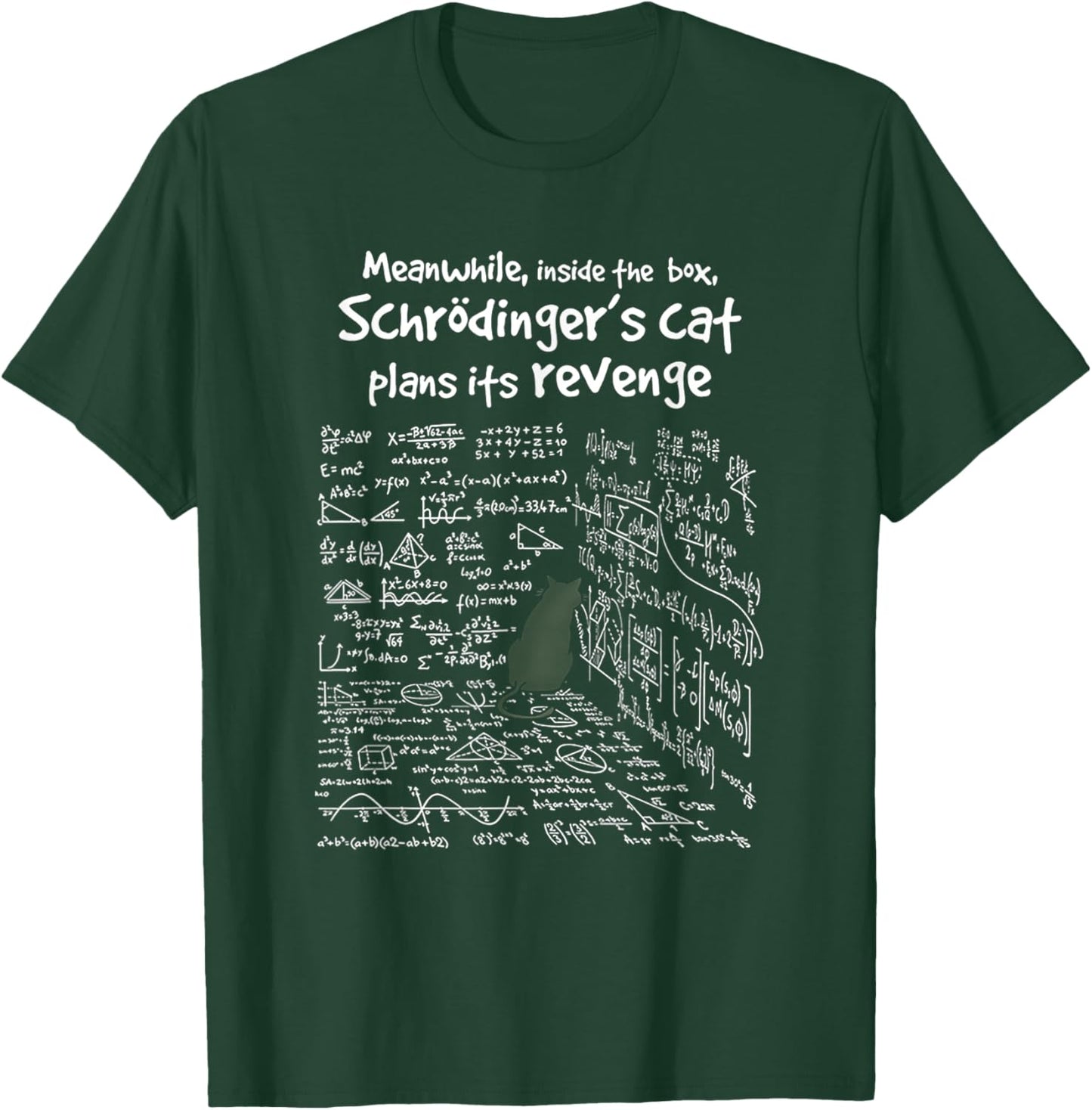 Meanwhile Inside The Box Schrodinger's Cat Plans Its Revenge Women T-Shirt - T-Shirt | Forest