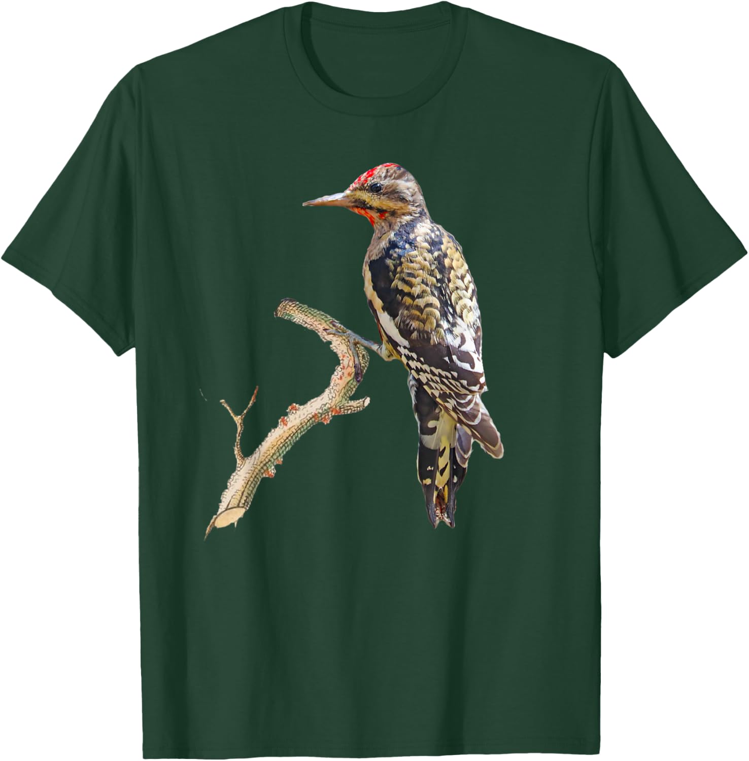 Yellow-bellied Sapsucker Woodpecker Bird T-Shirt - T-Shirt | Forest