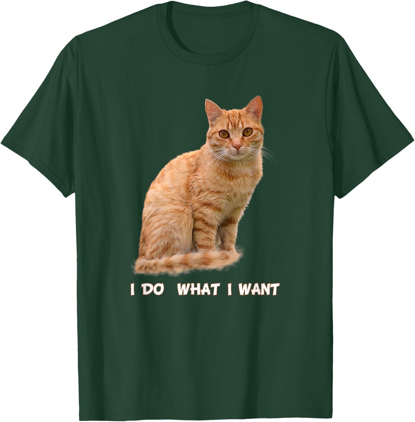 I Make What I Want Funny Orange Tabby Cat Lovers T-Shirt - T-Shirt | Forest