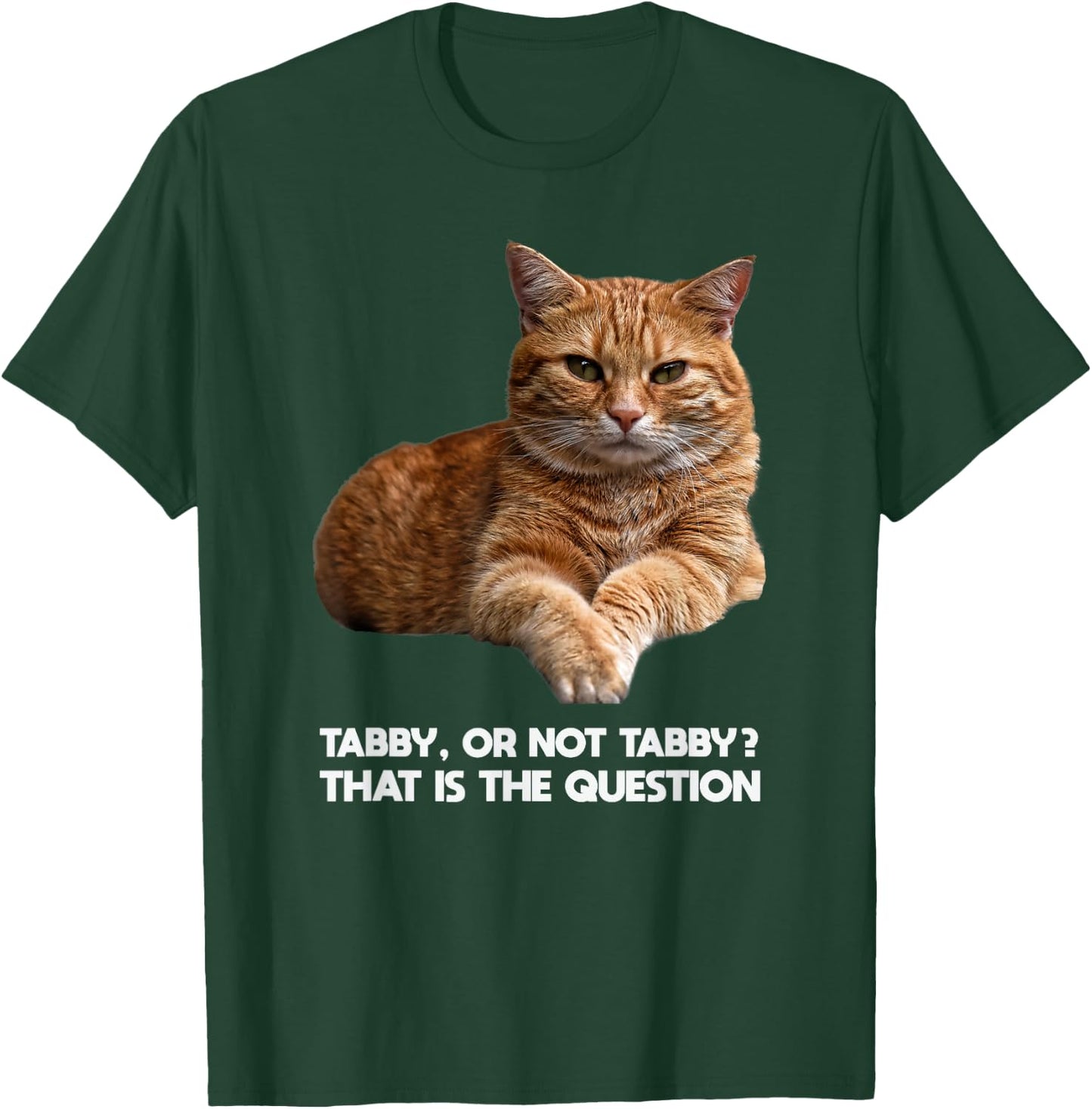 Orange Tabby Cat Funny Meme Design Graphic T-Shirt - T-Shirt | Forest