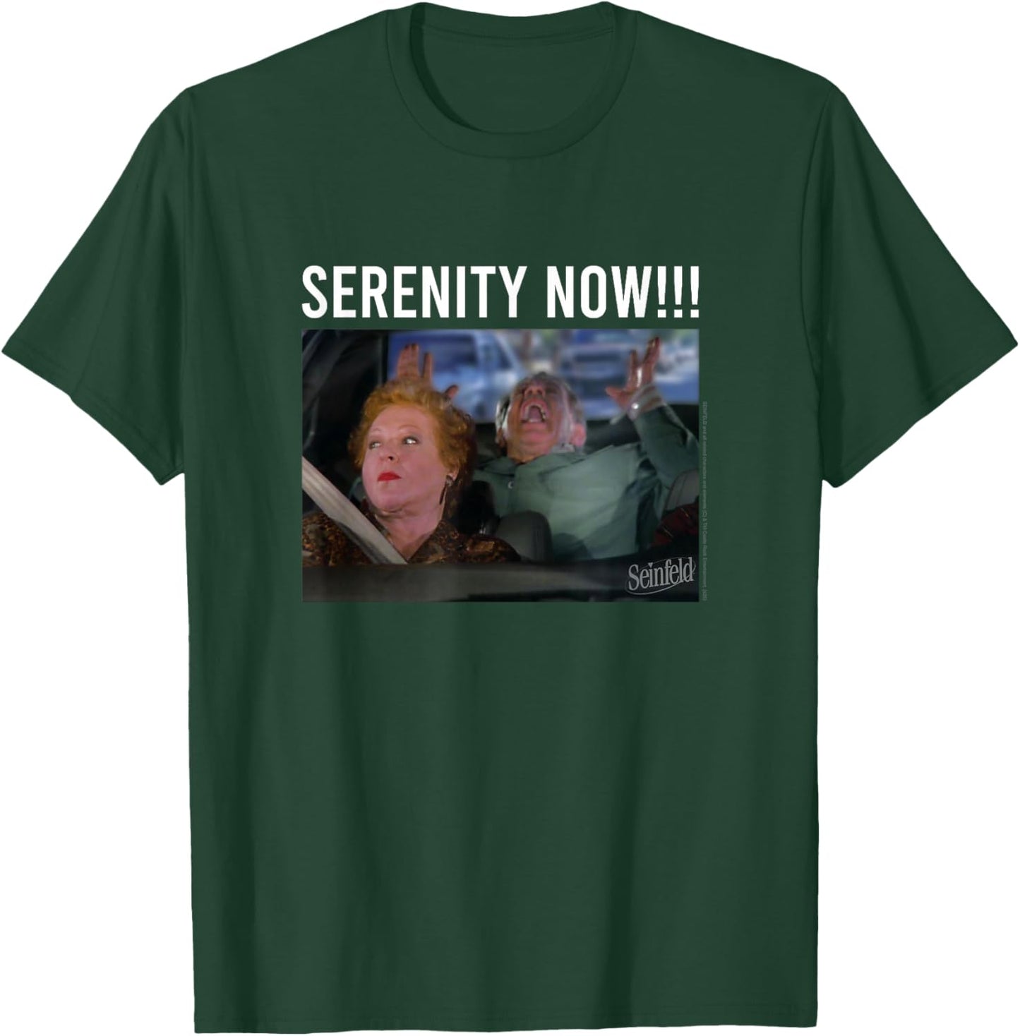 Seinfeld Serenity Now Frank Costanza Vintage Photoreal T-Shirt - T-Shirt | Forest
