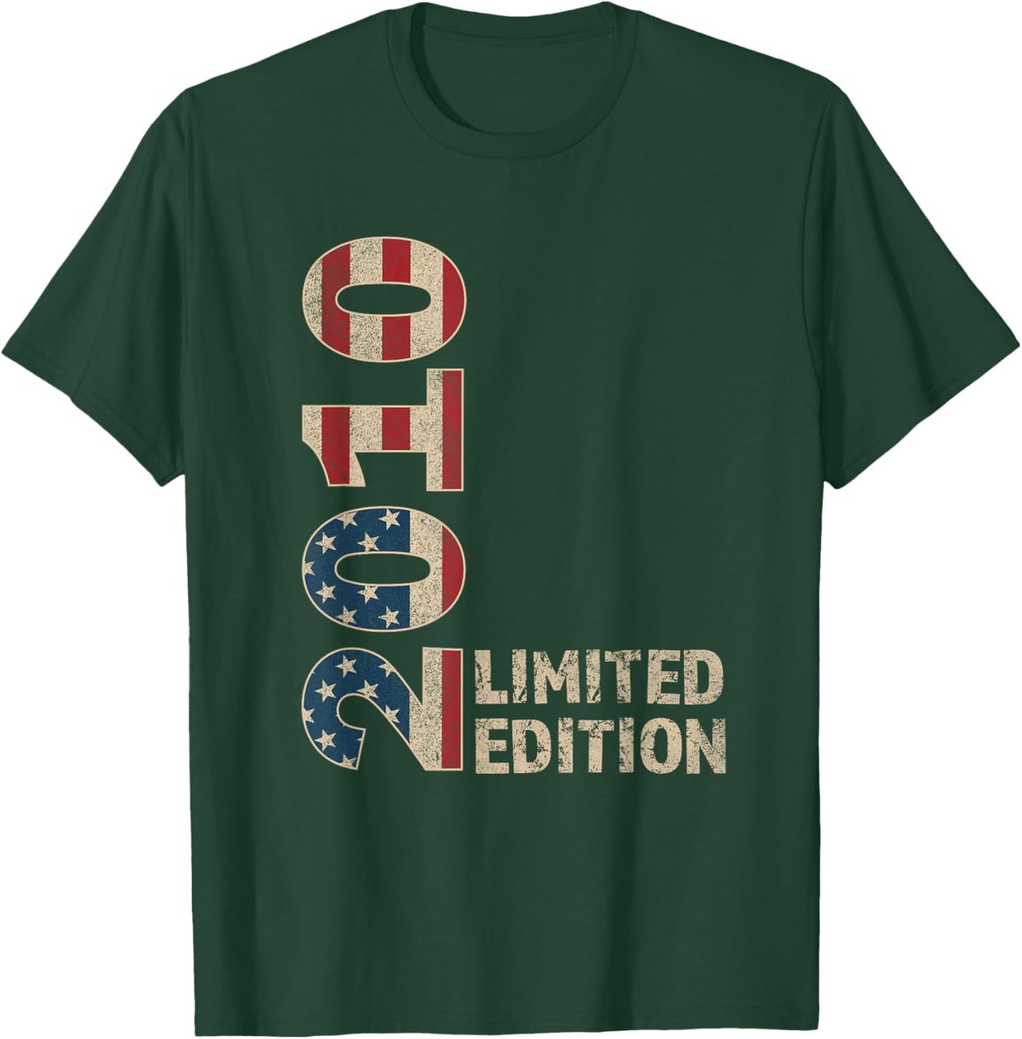 15th Birthday Gift Boy Vintage Born 2010 Turning 15 Year old T-Shirt - T-Shirt | Forest