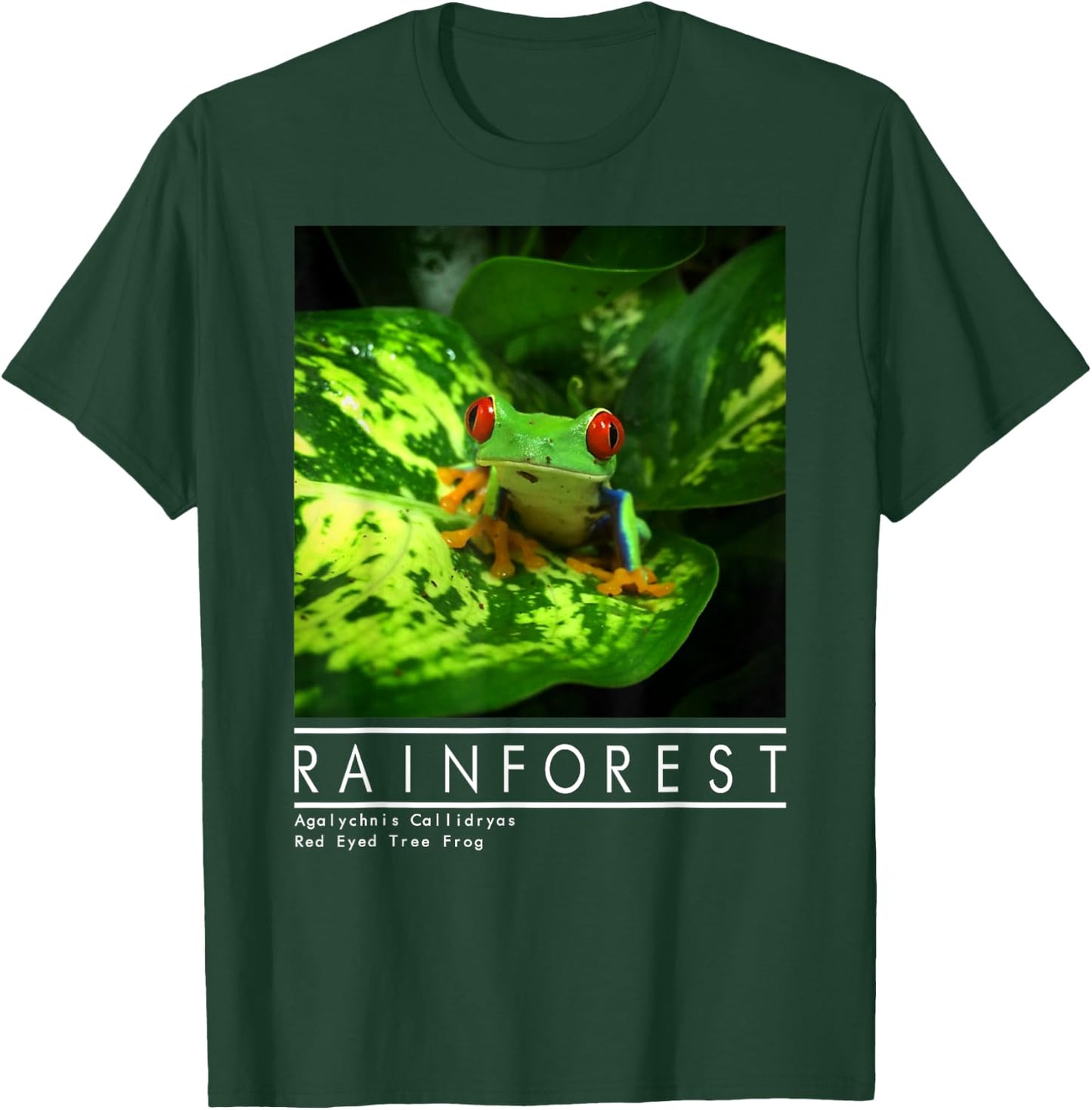 Red Eyed Tree Frog Rainforest Amphibian T-Shirt - T-Shirt | Forest