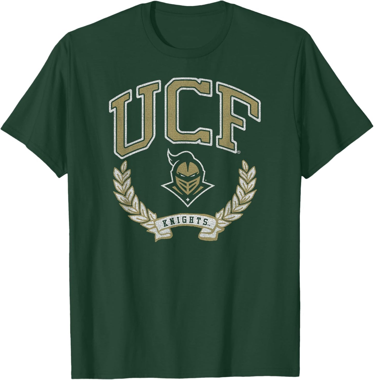 Central Florida Golden Knights Victory Vintage Black T-Shirt - T-Shirt | Forest