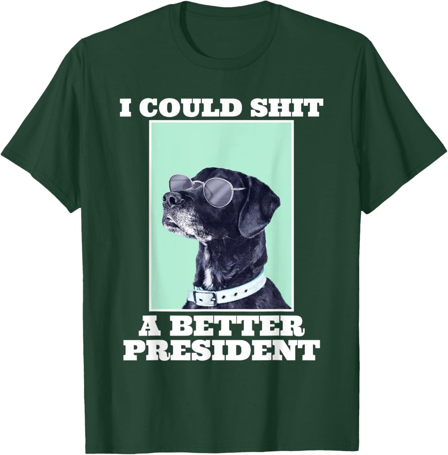 I Could Shit A Better President Funny Dogs Lovers Sarcasm T-Shirt - T-Shirt | Forest