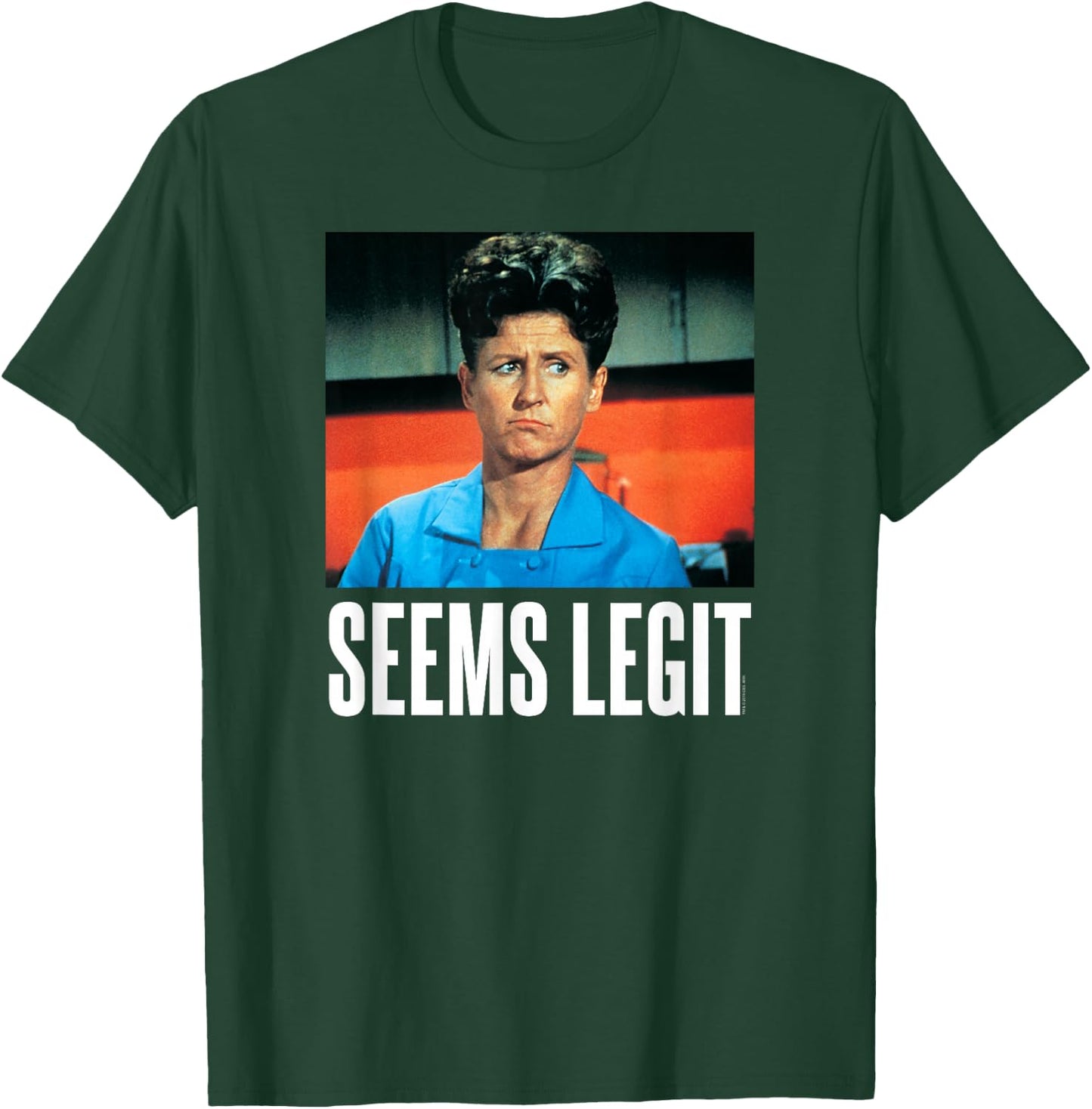 The Brady Bunch - Seems Legit Alice T-Shirt - T-Shirt | Forest