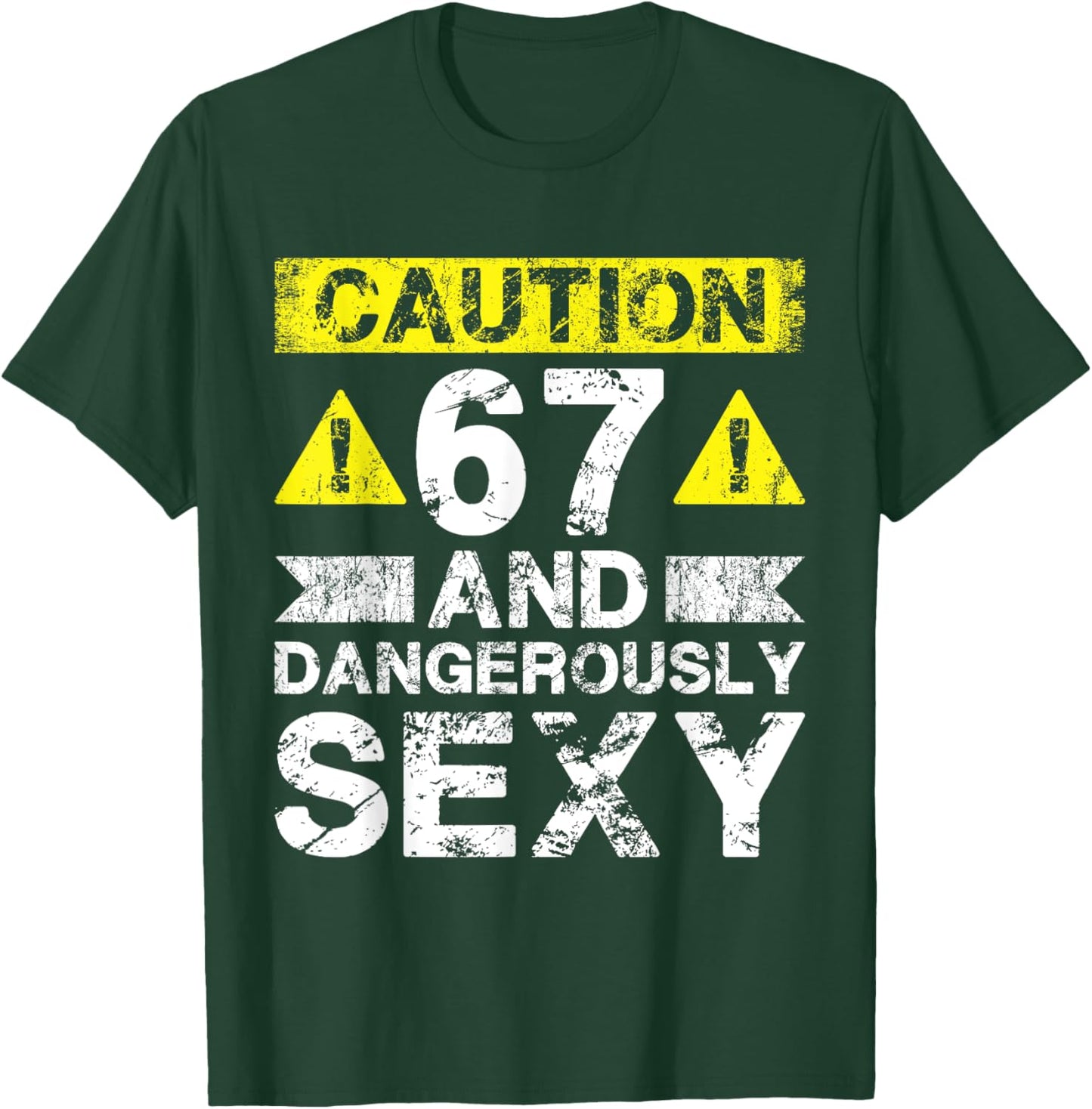 67 And Dangerously Sexy - 67 Year Old Funny 67th Birthday T-Shirt - T-Shirt | Forest