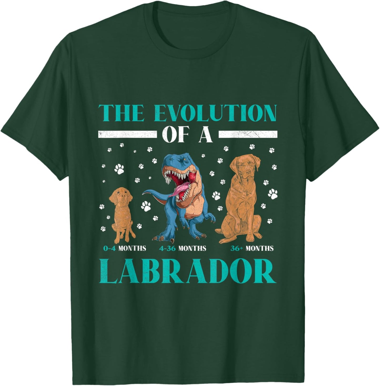 EVOLUTION OF A LABRADOR RETRIEVER Owner Labradors T-Shirt - T-Shirt | Forest