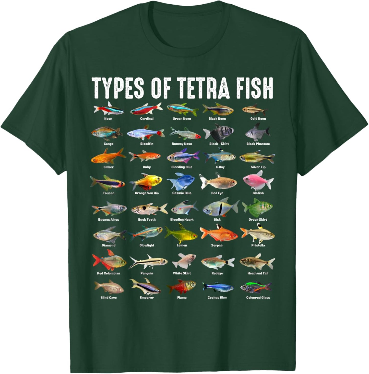 Types of Tetra Fish - Tetras Aquarium Fish Species Lover T-Shirt - T-Shirt | Forest