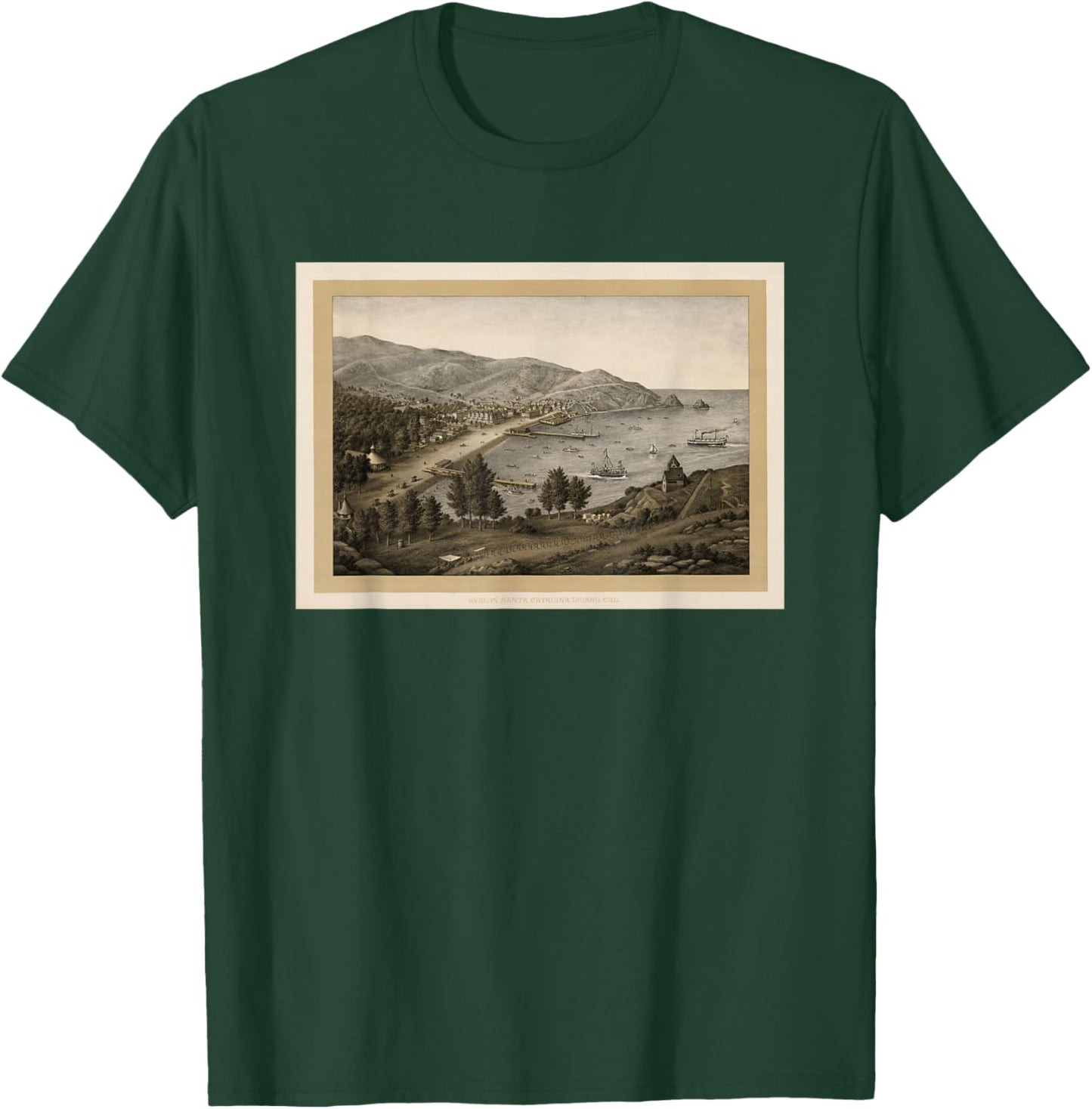 Vintage Avalon CA Map (1885) T-Shirt - T-Shirt | Forest
