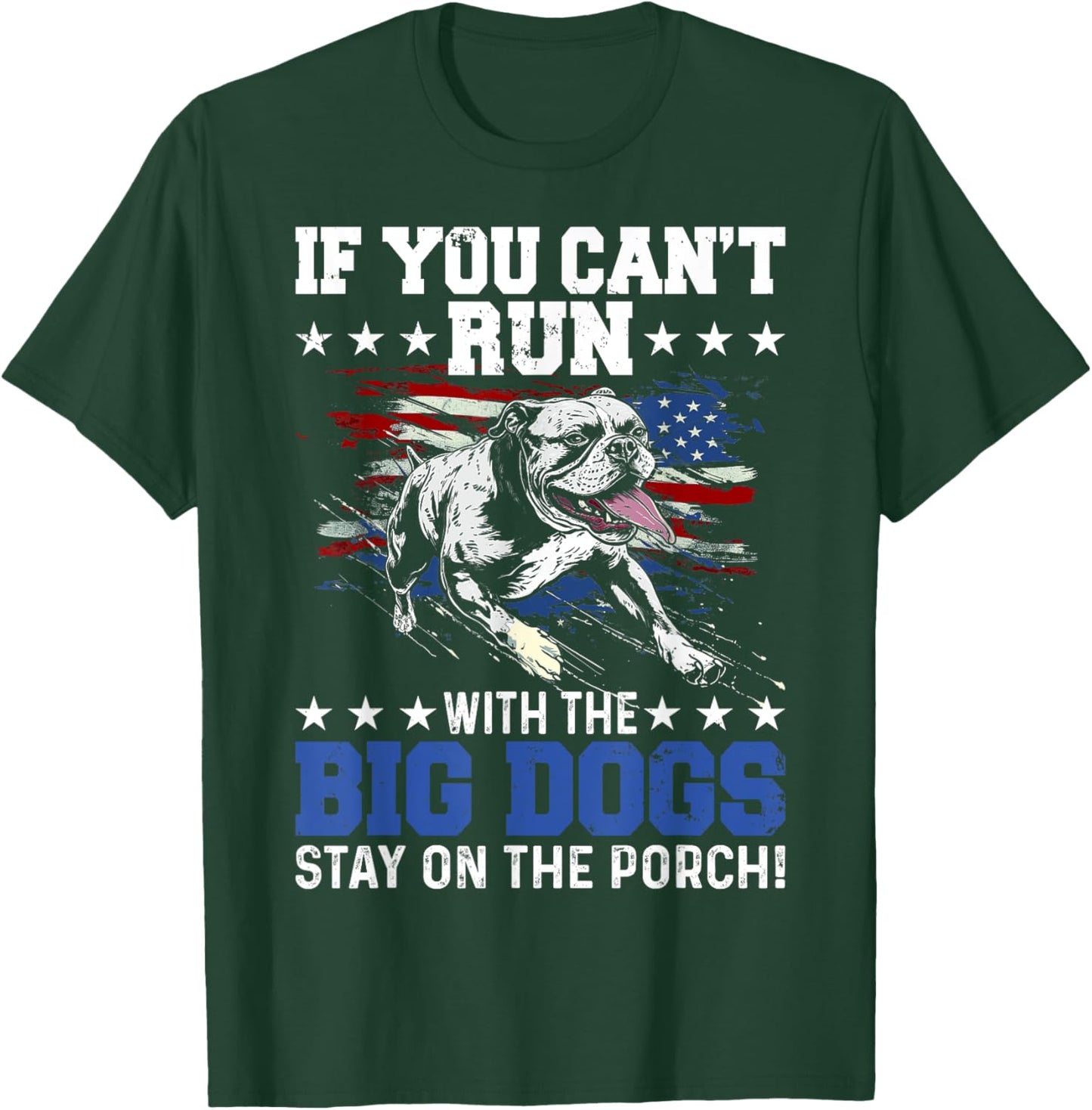Funny If You Can't Run With The Big Dog Stay On The Porch T-Shirt - T-Shirt | Forest
