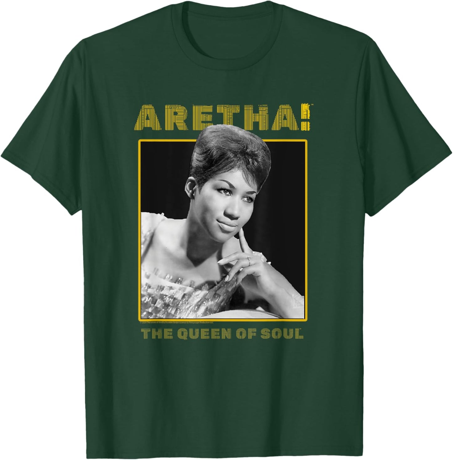 Aretha Franklin The Queen of Soul Music Portrait T-Shirt - T-Shirt | Forest