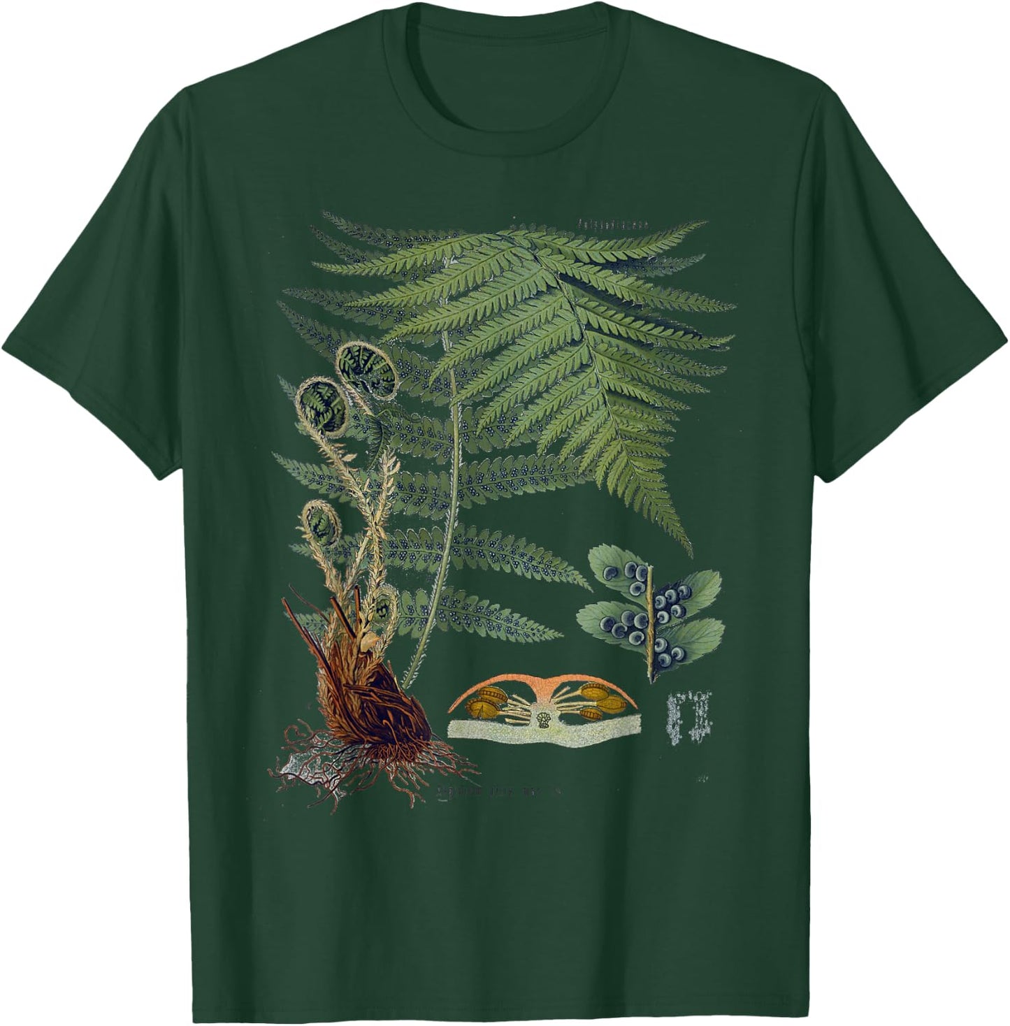 Fern Botanical Plants Botany T-Shirt - T-Shirt | Forest