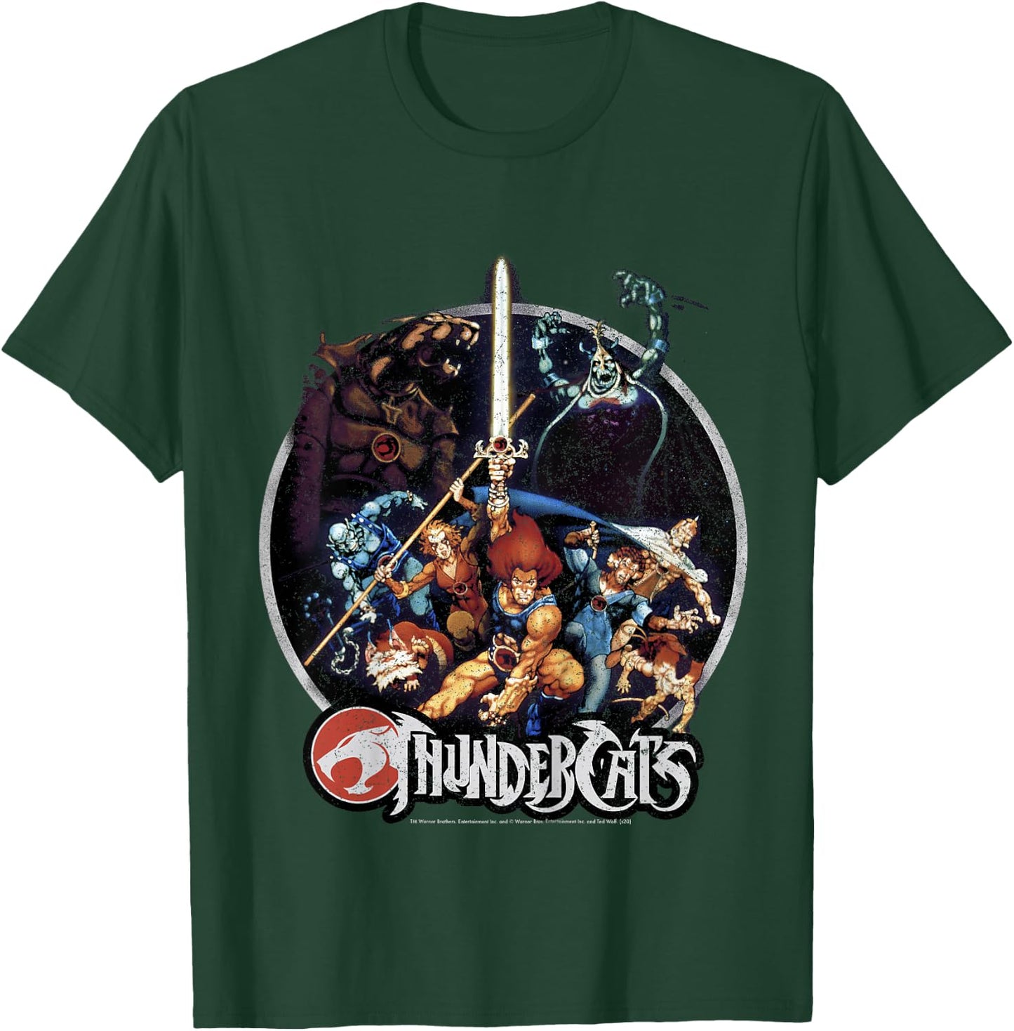 Kids Thundercats Group Shot Vintage Circle T-Shirt - T-Shirt | Forest
