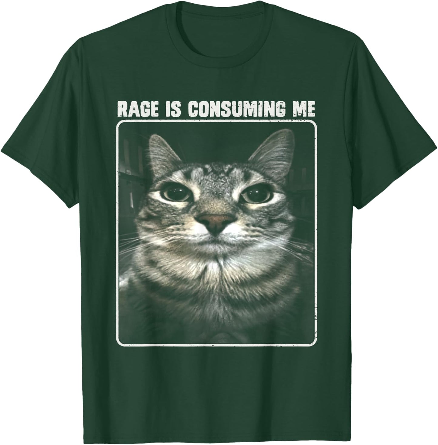 Rage Is Consuming Me Meme Silly Cat Women Girls Kids T-Shirt - T-Shirt | Forest