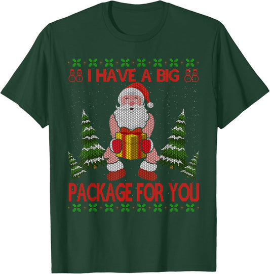 I Have Big Package for You Santa Claus & Huge Box Christmas T-Shirt - T-Shirt | Forest