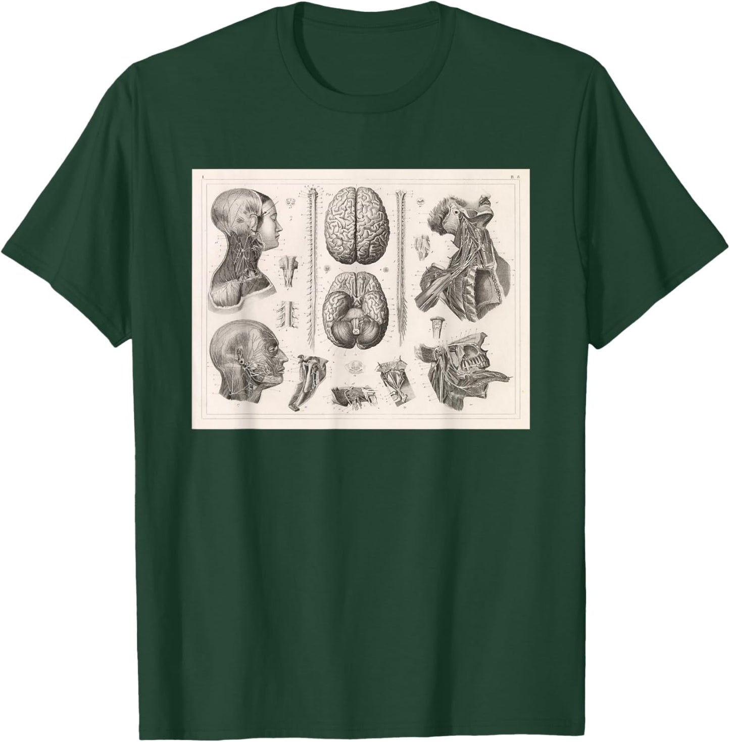 Brain, Spinal and Nervous System Medical Diagram T-Shirt - T-Shirt | Forest