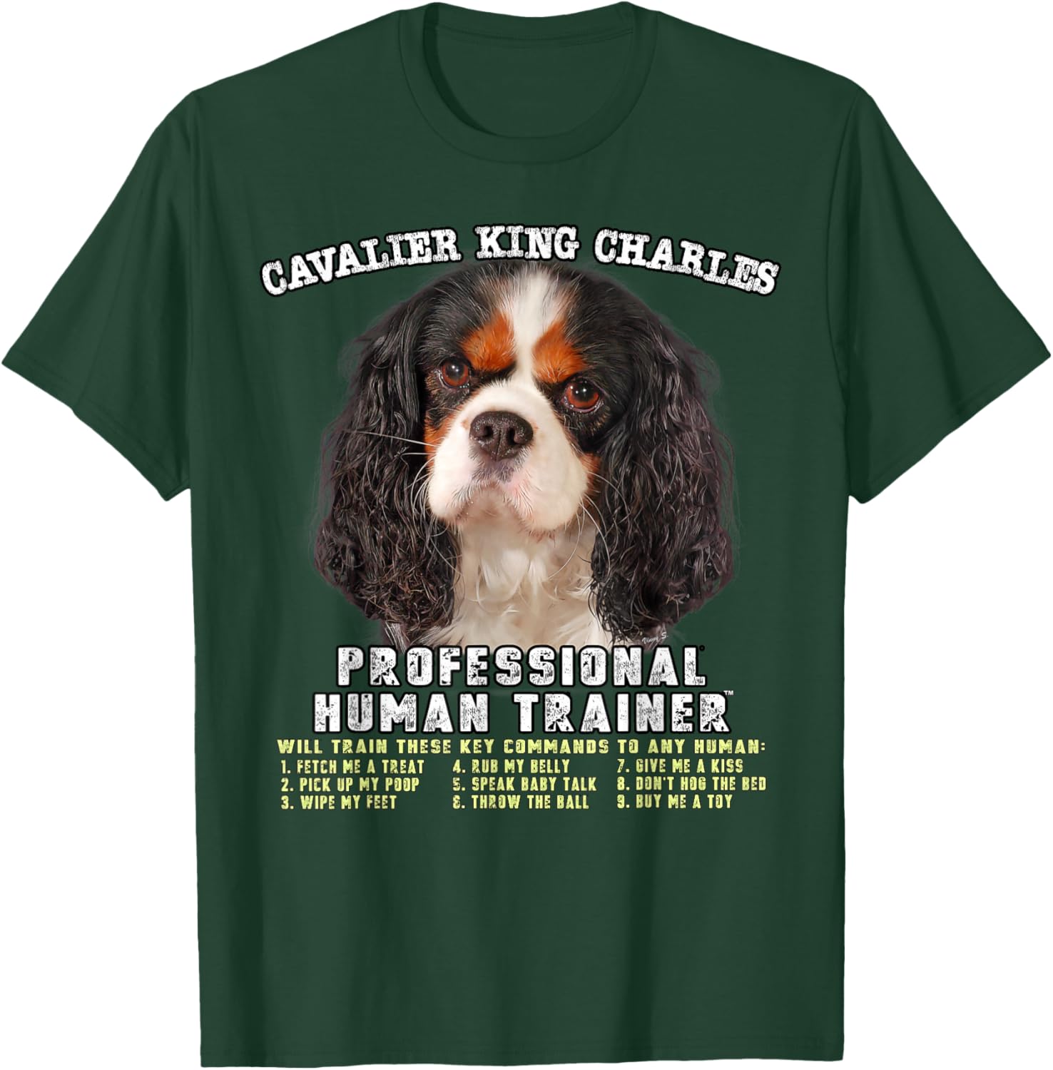 Cavalier King Charles Spaniel Tri Professional Human Trainer T-Shirt - T-Shirt | Forest