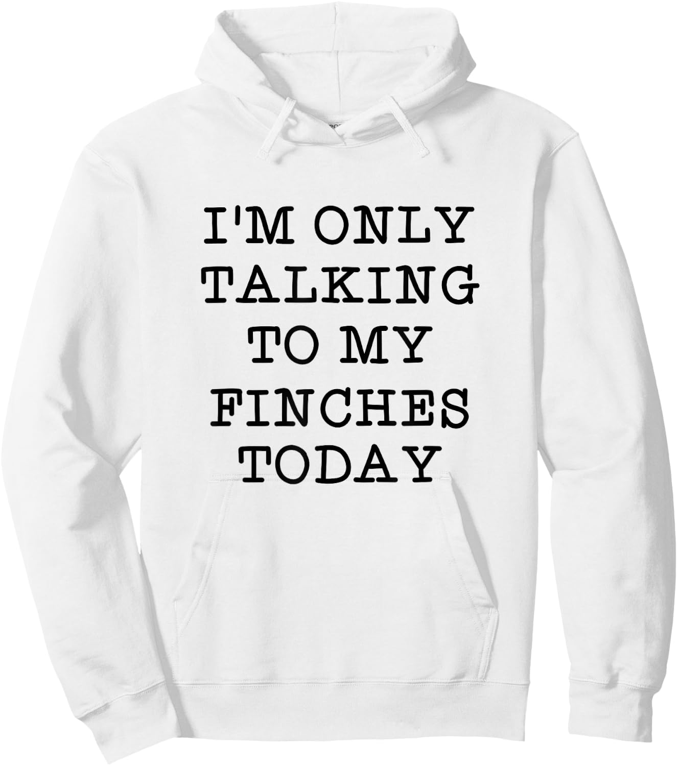 I'm Only Talking To My Finches Today Bird Lover Humor Quote Hoodie - Hoodie | White