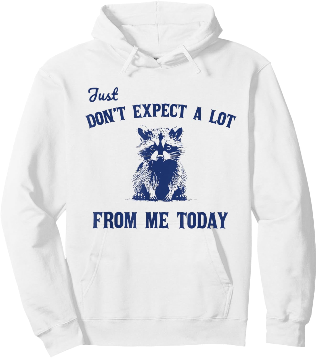 Just Don't Expect A Lot From Me Today Funny Raccoon Hoodie - Hoodie | White