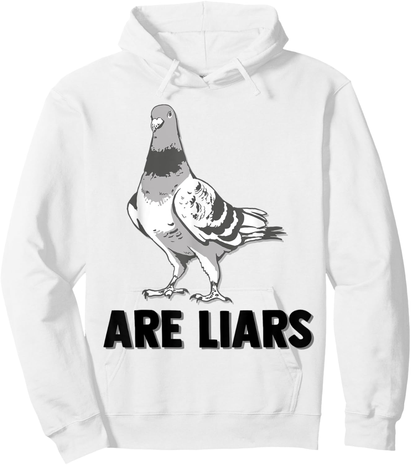 Pigeons Are Liars Aren't Real Spies Birds Pun Hoodie - Hoodie | White