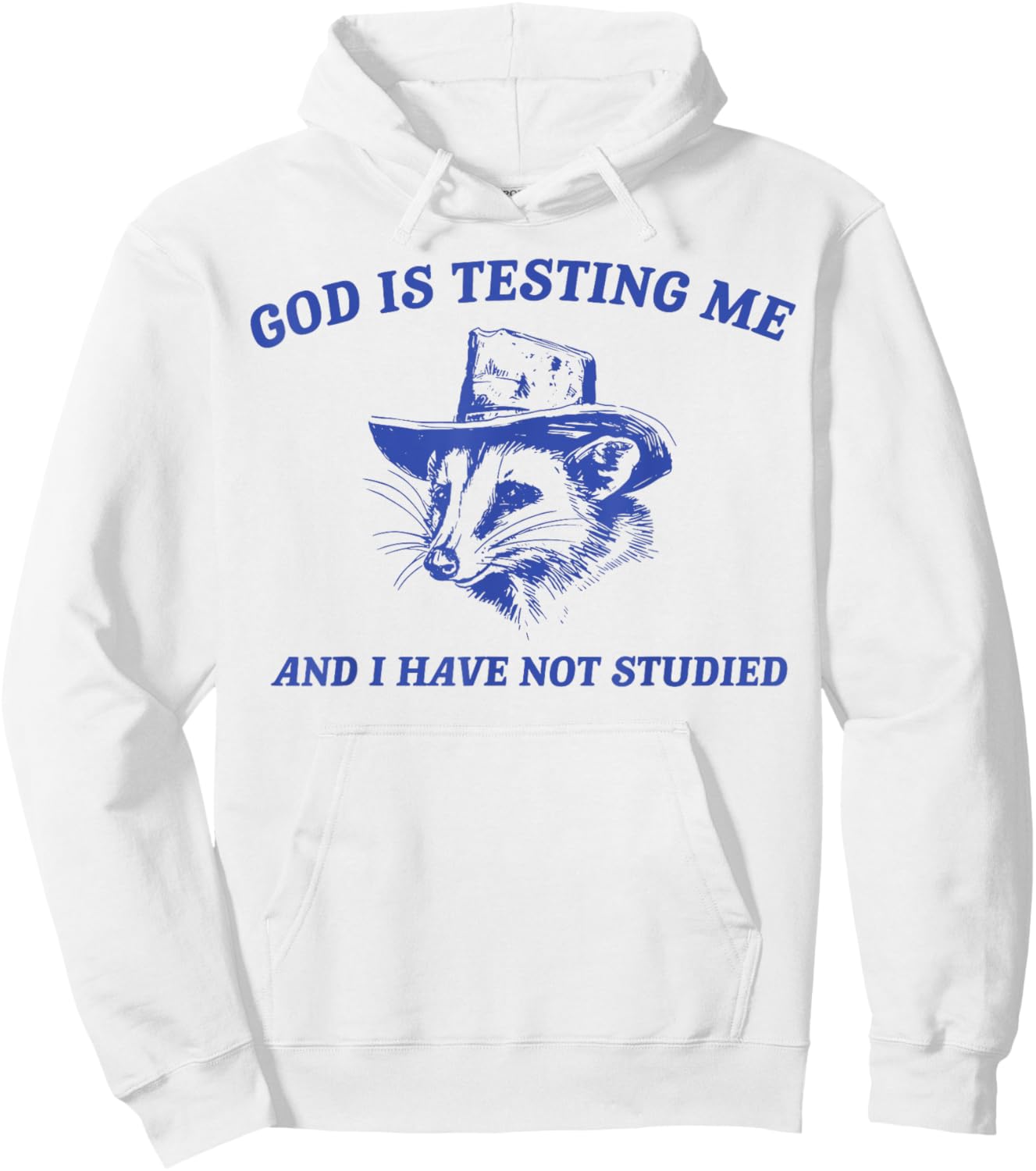God Is Testing Me And I Have Not Studied Funny Possum Hoodie - Hoodie | White