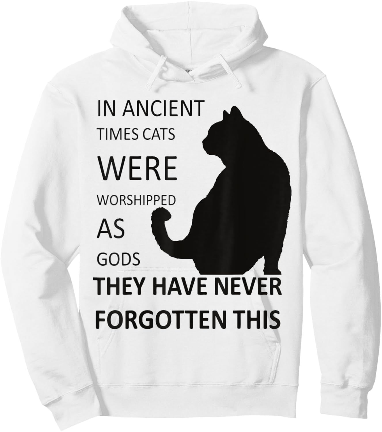 In Ancient Times Cats Were Worshipped As Gods v1 Hoodie - Hoodie | White