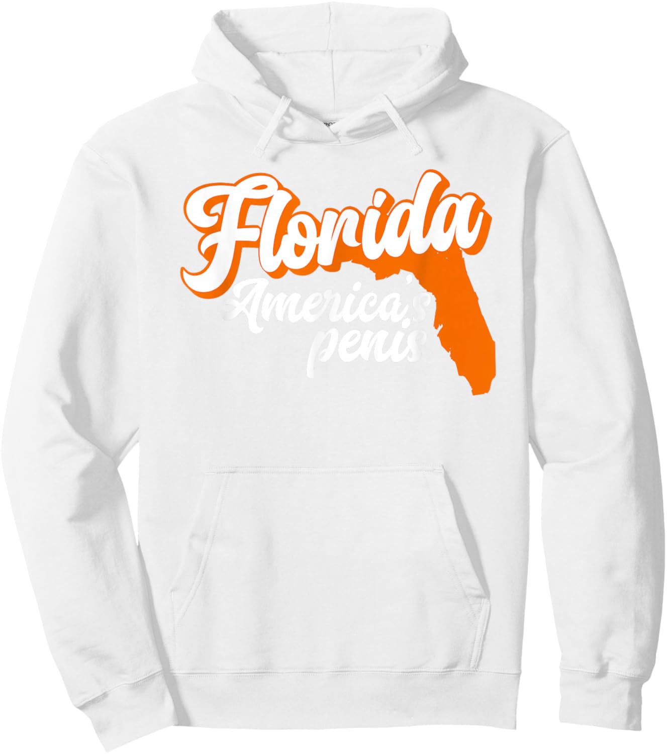 Florida is America’S Penis - Funny Florida Sucks Hoodie - Hoodie | White