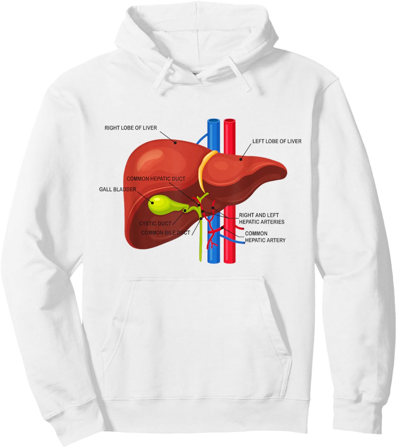 Funny Human Liver Anatomy Anatomical Liver Hoodie - Hoodie | White