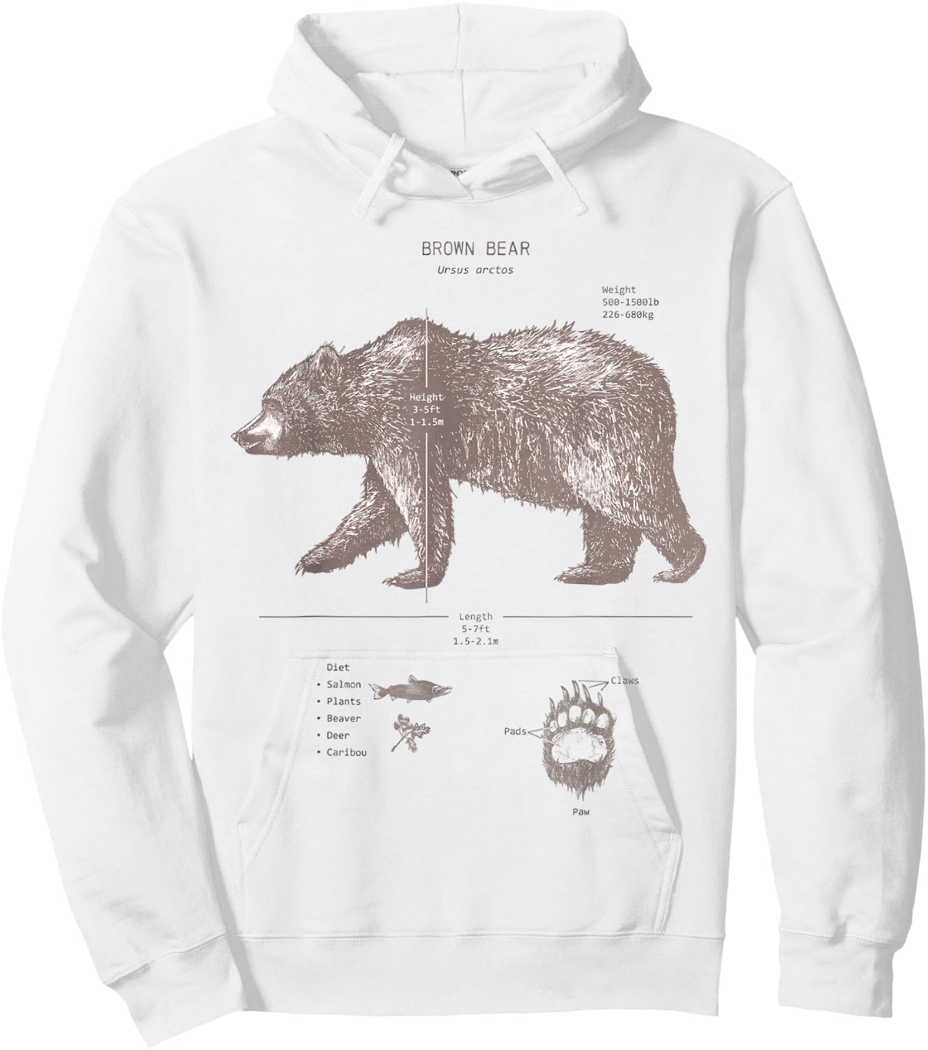 Brown Bear Anatomy Hoodie - Hoodie | White