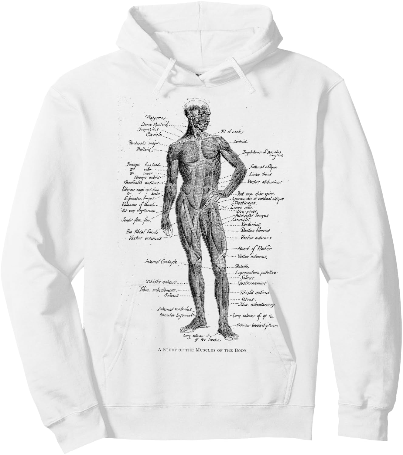Human Muscle Anatomy Design Gift Hoodie - Hoodie | White