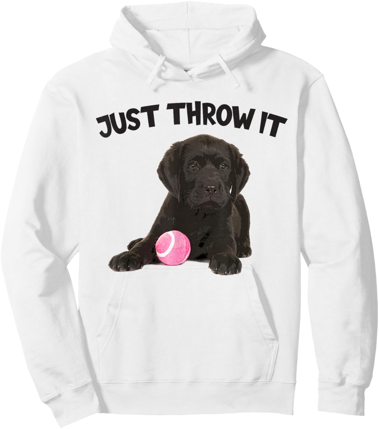 Just Throw It Play Fetch Funny Labrador Retriever Hoodie - Hoodie | White