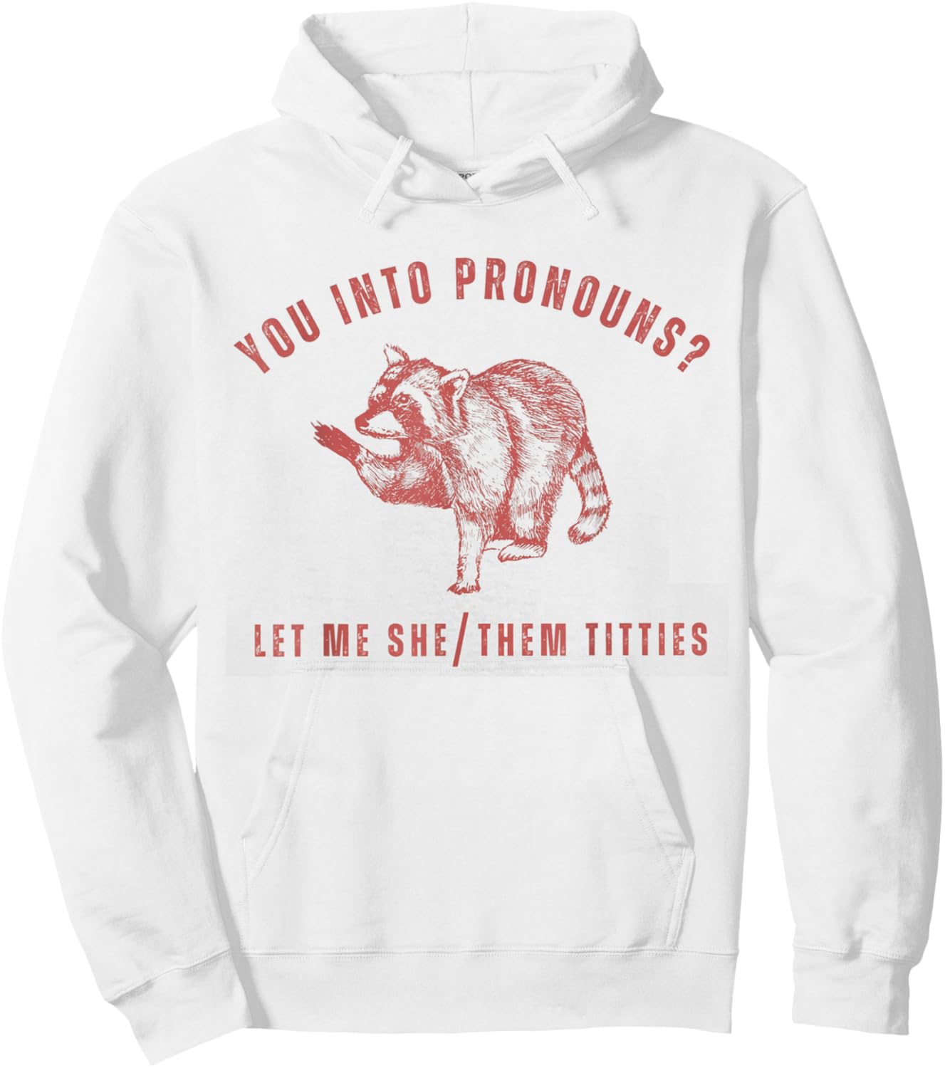 Retro Racoon You Into Pronouns Let Me She Them Titties Hoodie - Hoodie | White
