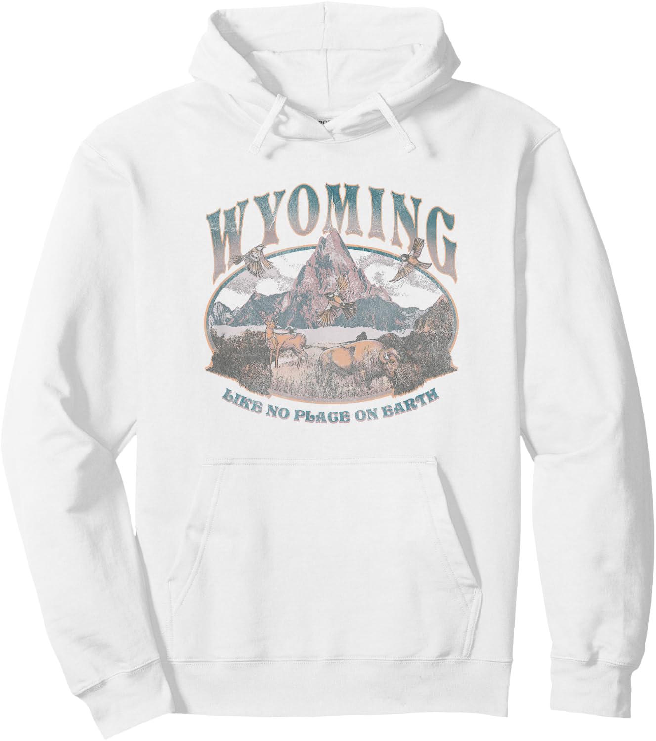 Earth Day Wyoming Like No Place On Earth Mountain Scene Hoodie - Hoodie | White
