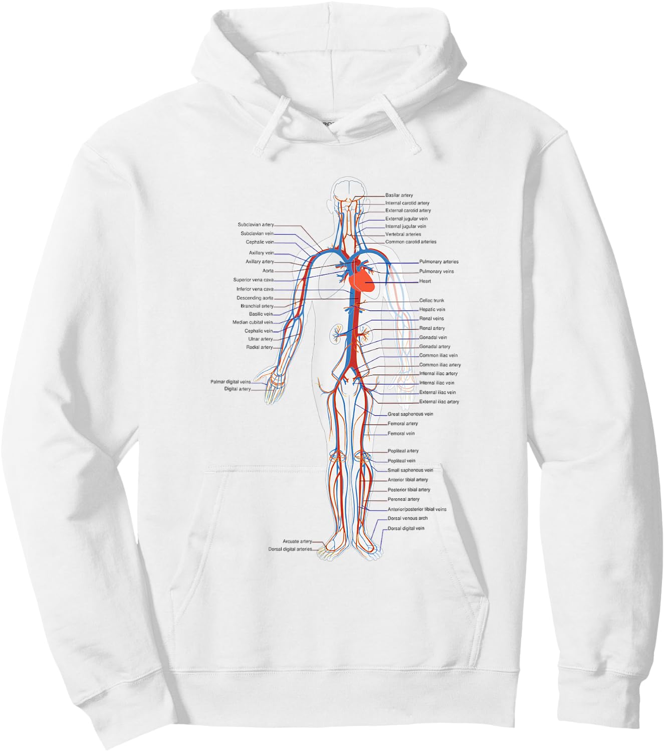 Circulatory System Anatomy Chart Arteries Veins Hoodie - Hoodie | White