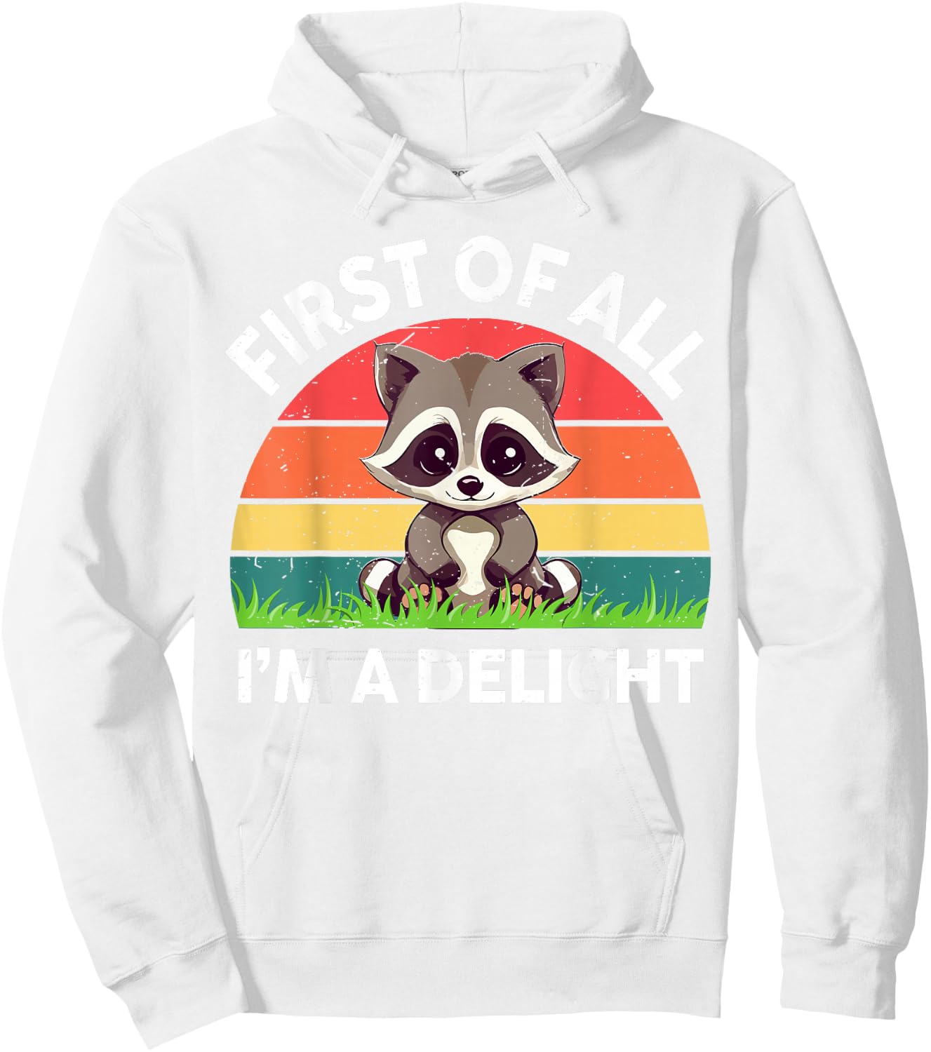 Funny First Off All I'm A Delight Raccoon Toddler Boy Retro Hoodie - Hoodie | White