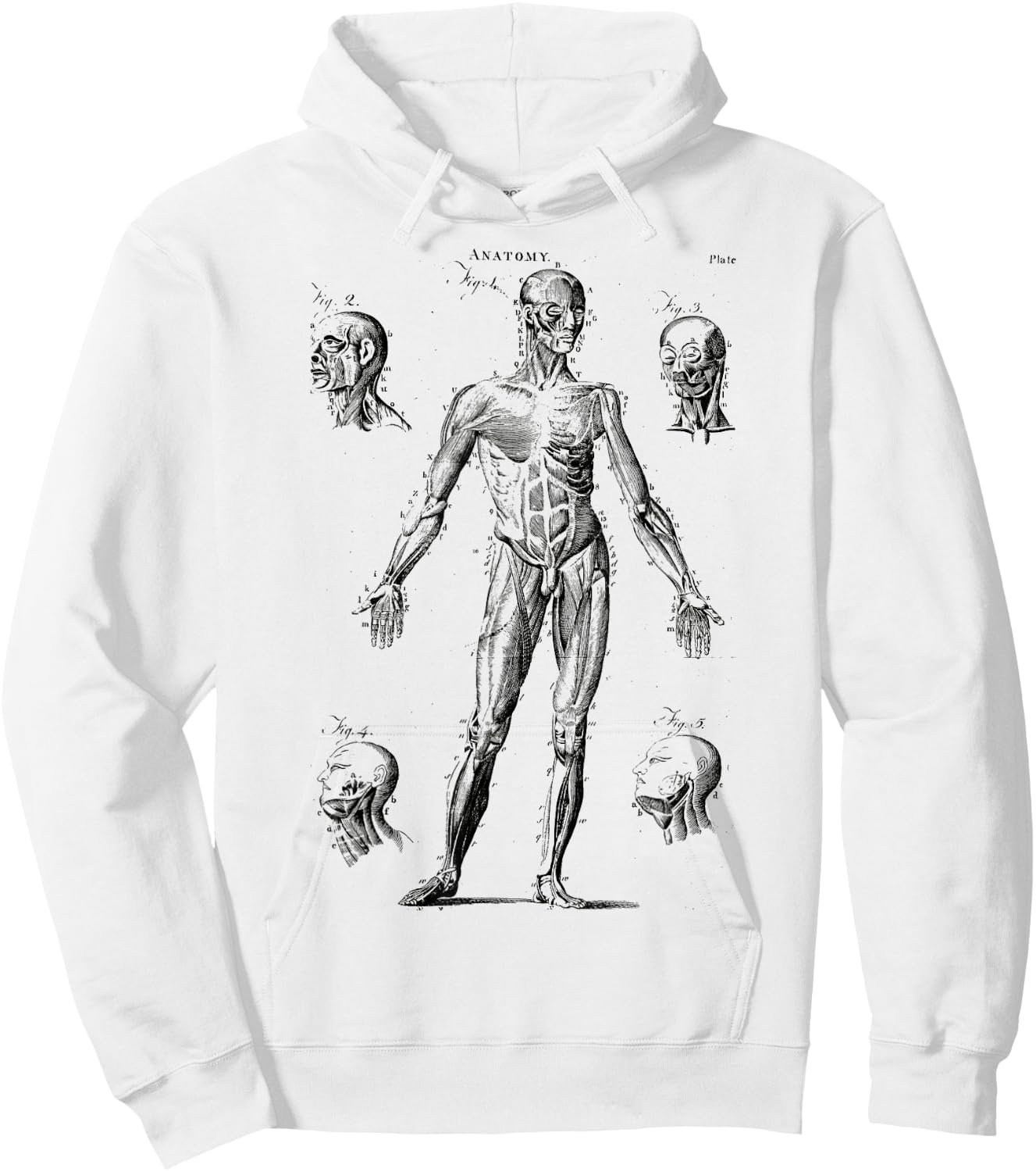 Human Muscle Anatomy Medical Anatomy Hoodie - Hoodie | White