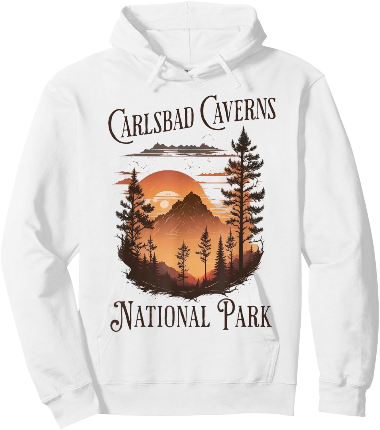 Carlsbad Caverns National Park Hoodie - Hoodie | White