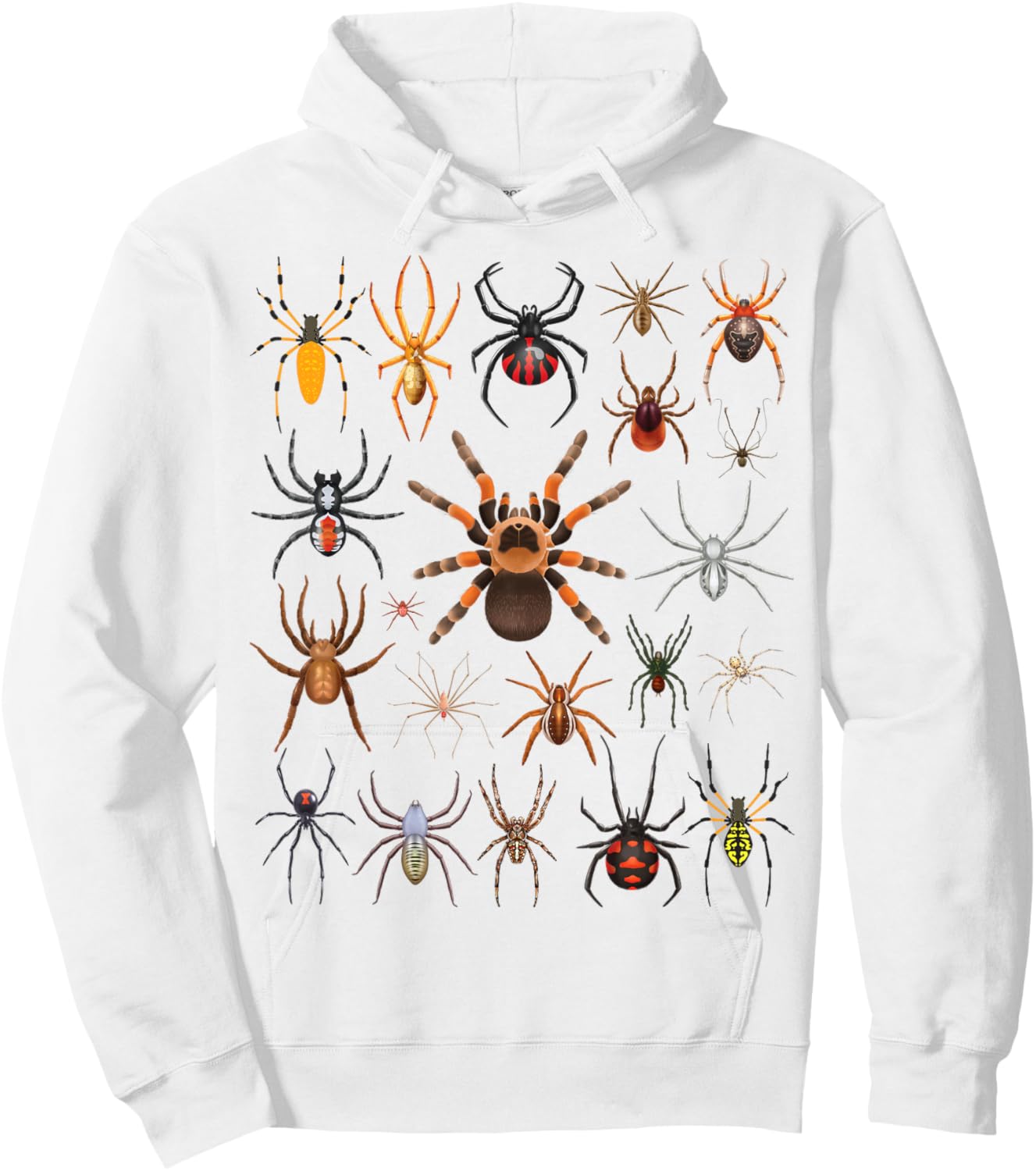 Types of Spiders Educational Entomology Boys Girls Kids Hoodie - Hoodie | White
